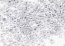 Бисер Чехия круглый 10/0 50г 38342 серый