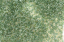 Бисер Япония MIYUKI Delica цилиндрический 11/0 5г DB-0917 светло-игристый green topaz с цветной линией