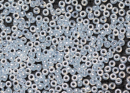 Бисер Япония MIYUKI Seed Beads 15/0 5г 0522 светло-аква цейлон
